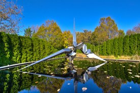 Image of Bruce Beasley's 'Dorion'