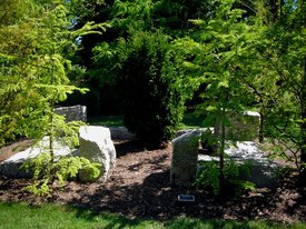 Image of Bruce Daniel's 'Yew II'