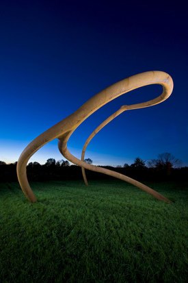 Image of Steve Tobin's 'Untitled (Steelroots)'