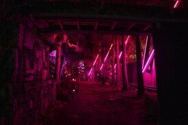 Image of the Forest of the Subconscious with pink light projections