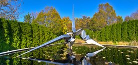Image of Bruce	Beasley's 'Dorion'