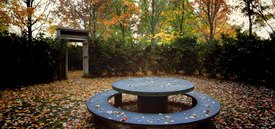 Image of Michele Oka Doner's 'Radiant Disk' & 'Ice Ring'