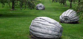 Image of John Ruppert's 'Pumpkins'