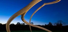 Image of Steve Tobin's 'Untitled (Steelroots)'