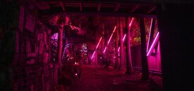 Image of the Forest of the Subconscious with pink light projections